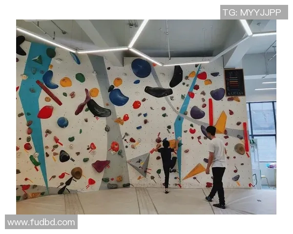 西安攀岩队个人能力提升之路探索与实践分析